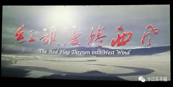 强规范全覆盖，做好长宁区属保障性租赁住房供应审核工作